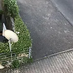 Wohnzeit